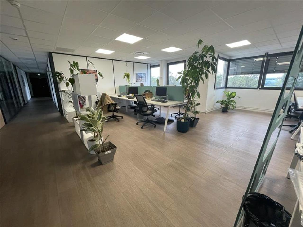 Bureau Montpellier 326m² Location bureau Montpellier Hérault OLBUR2530862 7